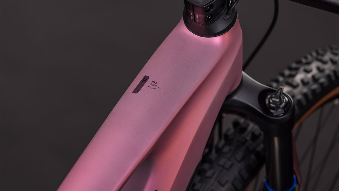 #barva_shiftblush-n-raisin