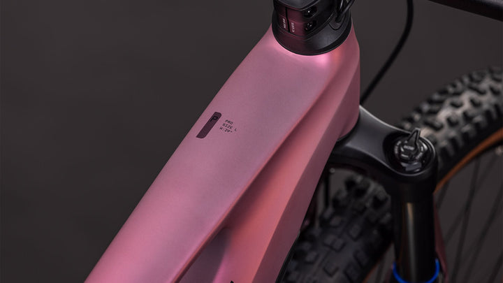 #barva_shiftblush-n-raisin